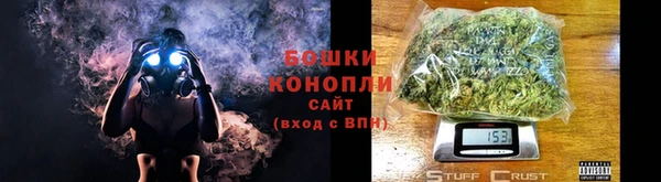 ГАЛЛЮЦИНОГЕННЫЕ ГРИБЫ Белоозёрский