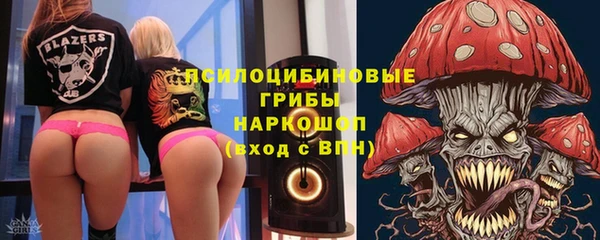 ГАЛЛЮЦИНОГЕННЫЕ ГРИБЫ Белоозёрский